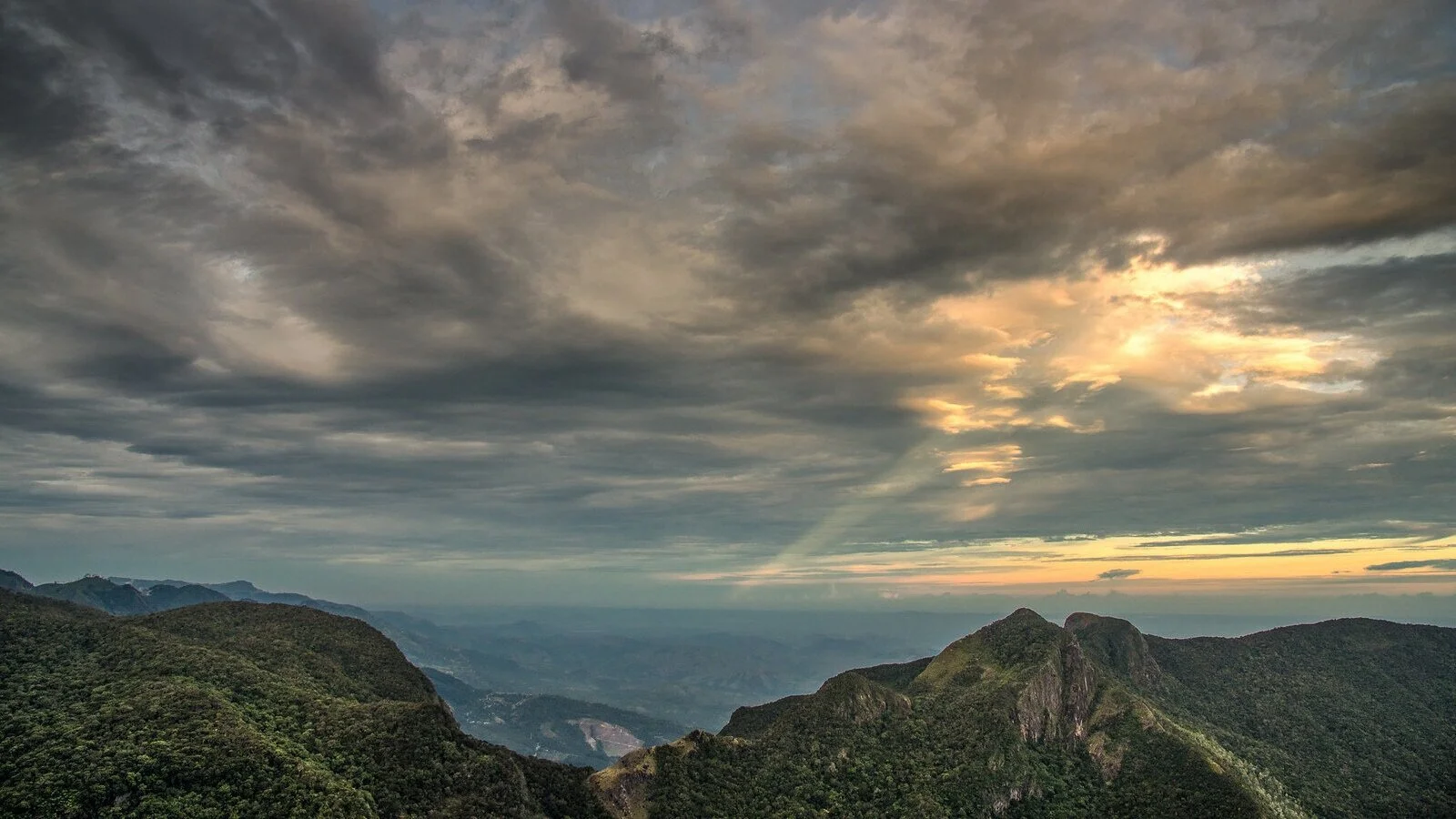 Walking the Edge of the World: A Guide to Horton Plains